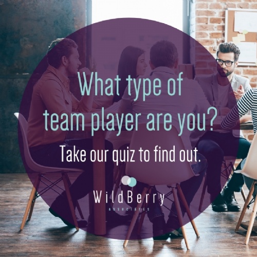 What type of team player are you?