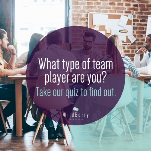 What type of team player are you?